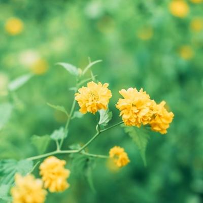 安徽淮北市：构建“三抓”机制 筑牢年轻干部作风防线